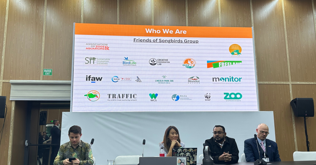 Side event 'The Global Songbird Crisis: Trade, Impacts, and Regulation' co-sponsored by WAZA, at CITES CoP20